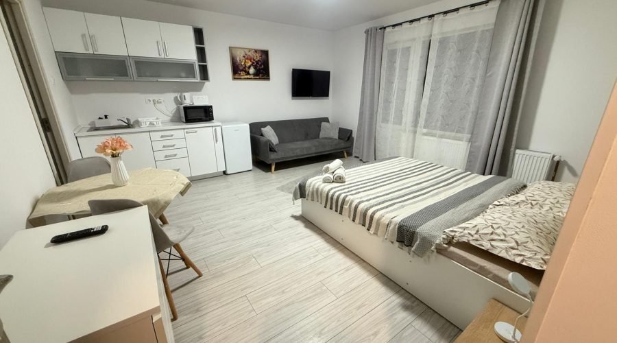 Cameră cu terasă pat matrimonial +canapea extensibilă (10)