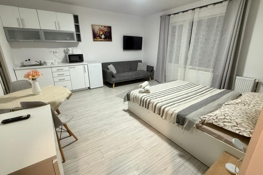 Cameră cu terasă pat matrimonial +canapea extensibilă (10)