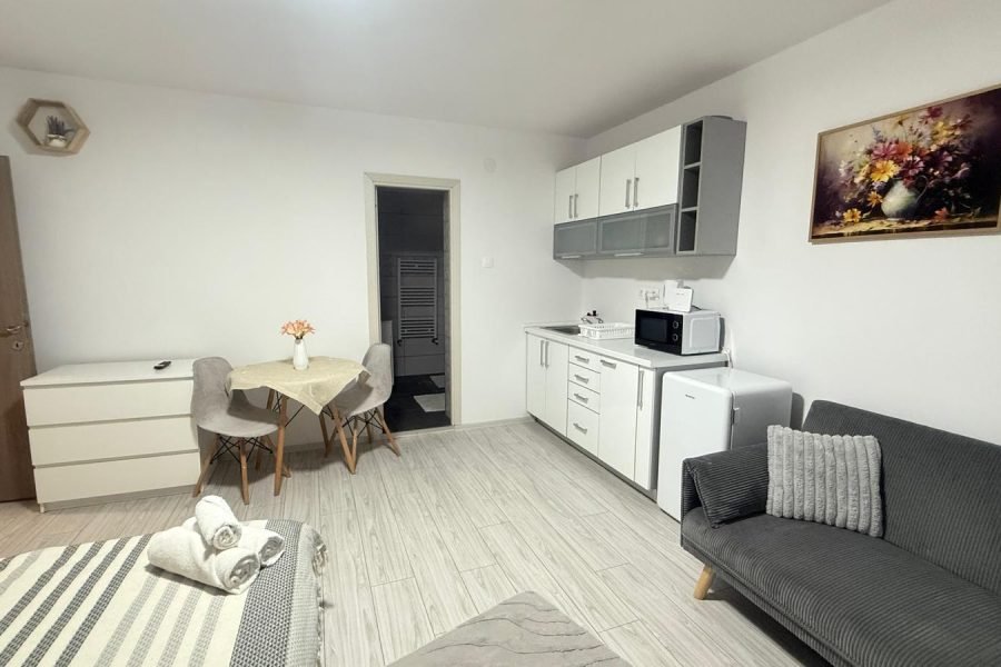 Cameră cu terasă pat matrimonial +canapea extensibilă (6)