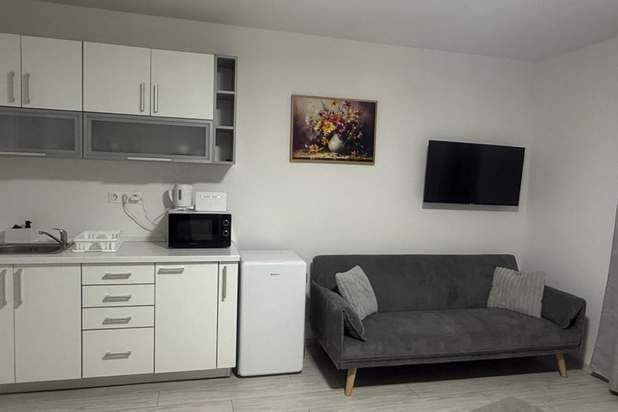 Cameră cu terasă pat matrimonial +canapea extensibilă (8)