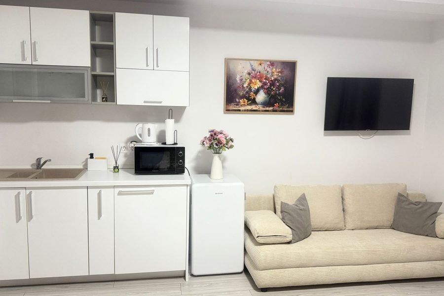 Camera dublă + canapea extensibilă (5)