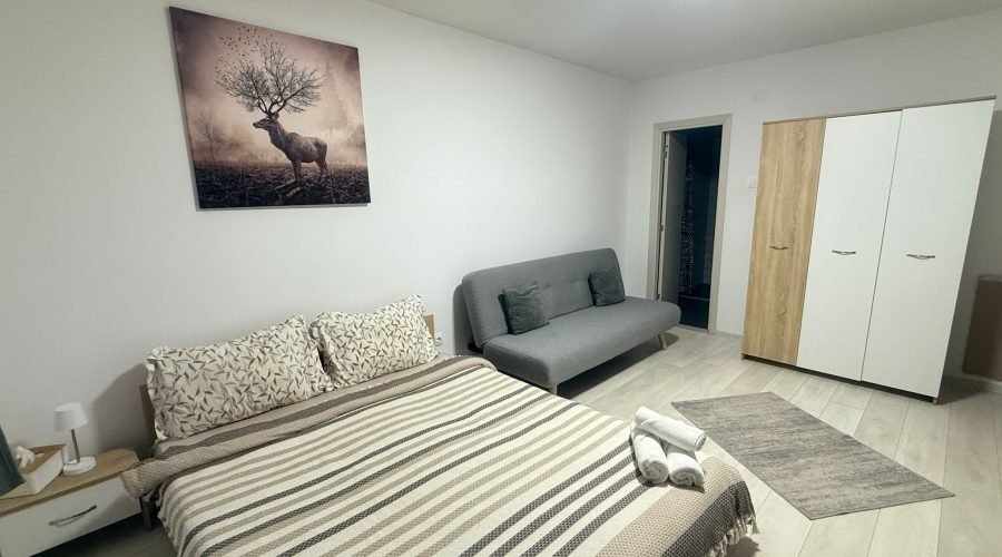 Cameră dublă standard + canapea extensibilă (1)