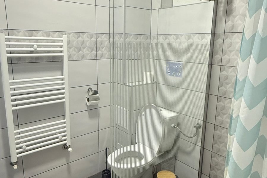 Cameră dublă standard + canapea extensibilă (4)