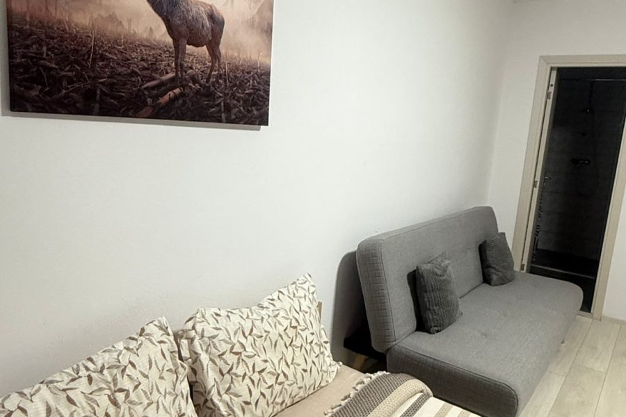 Cameră dublă standard + canapea extensibilă (5)
