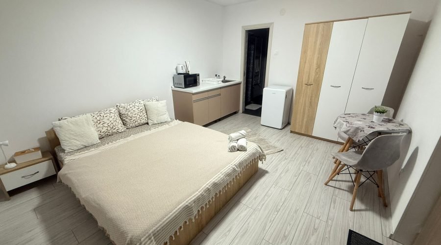 camera dubla standard (4)