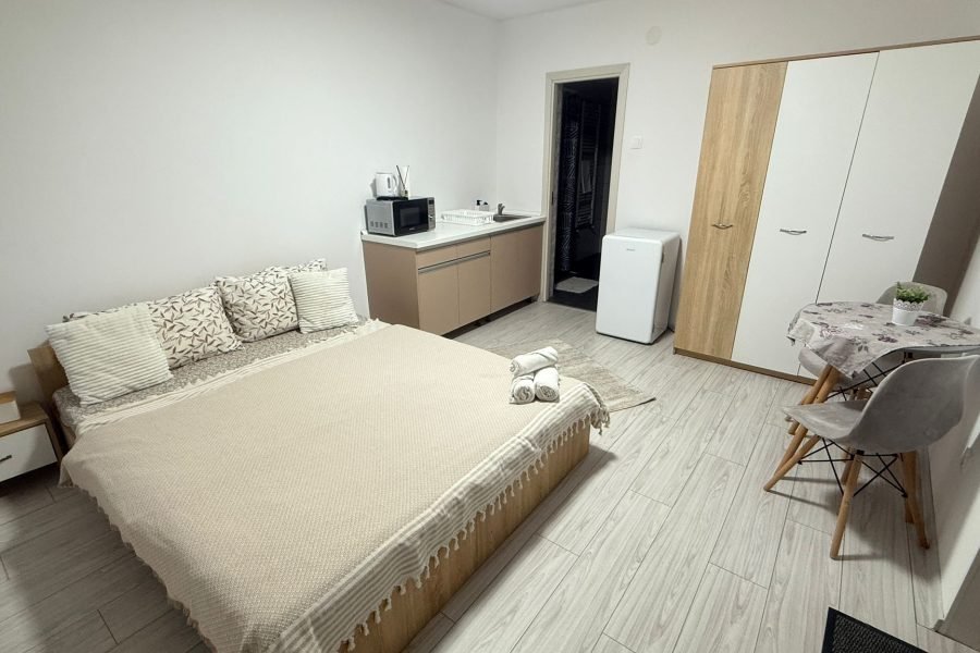 camera dubla standard (4)